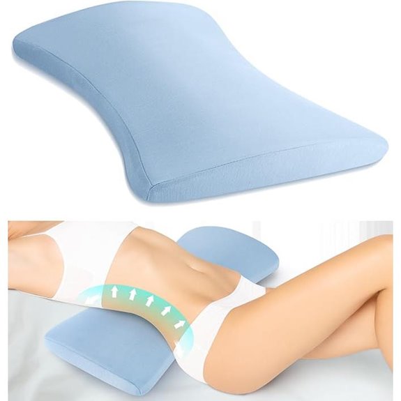 Lumbar Support Pillow for Back Pain Relief
