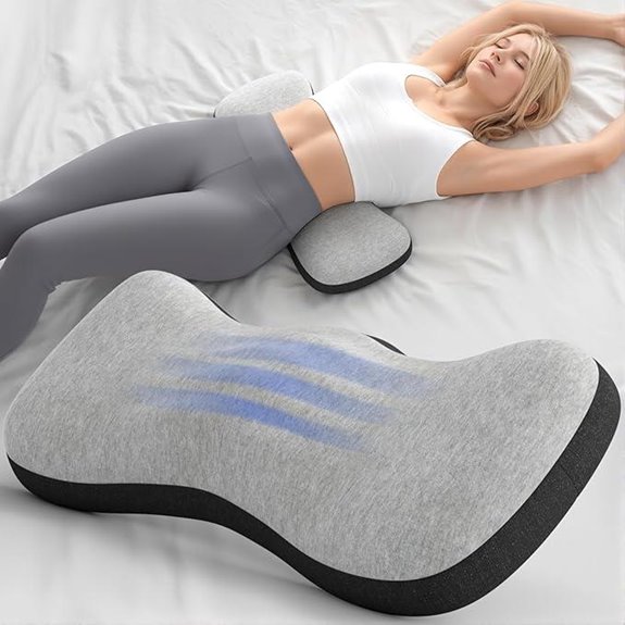 Lumbar Support Pillow for Bed and Car