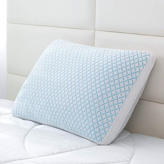 Memory Foam Cooling Pillow with Bamboo Cover