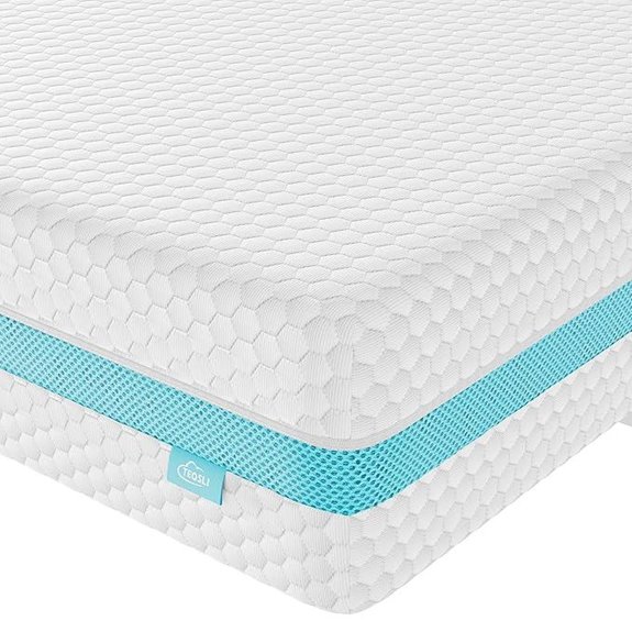TeQsli Dual-Sided Toddler Crib Mattress