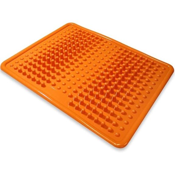 Fenzer Foot Massager Mat for Pain Relief