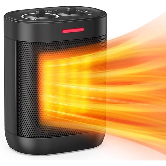1000W PTC Ceramic Space Heater with Safety Features
