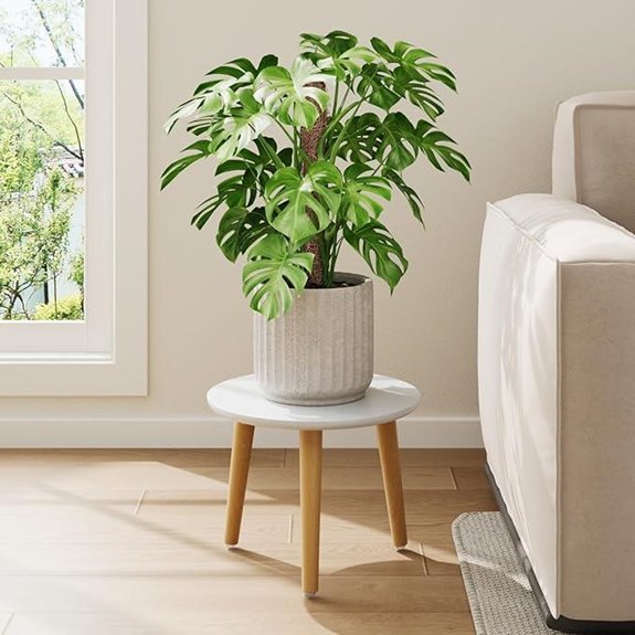 indoor wooden plant stand