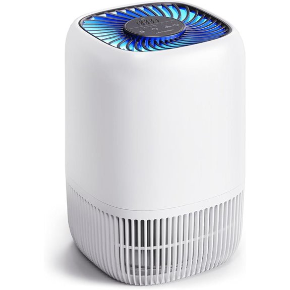Air Purifier with True HEPA Filter for Large Rooms