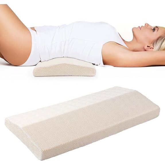 Cozyhealth Lumbar Support Pillow for Back Pain