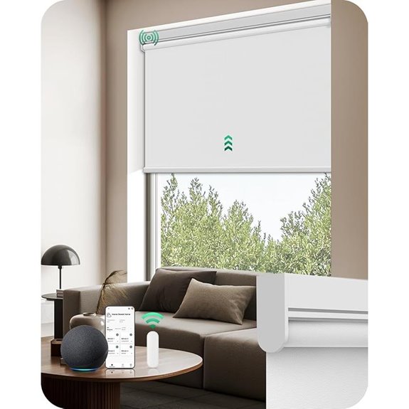 Allesin Motorized Remote-Controlled Window Blinds
