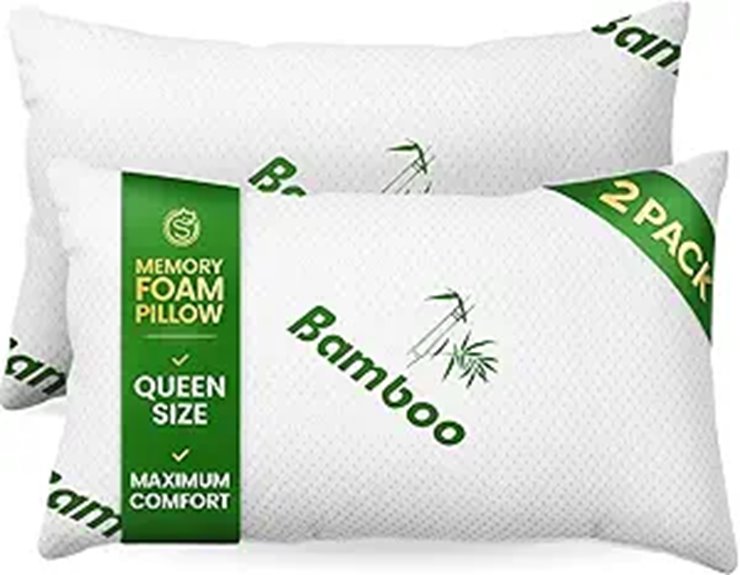 Queen Size Memory Foam Pillow Set (2 Pack)