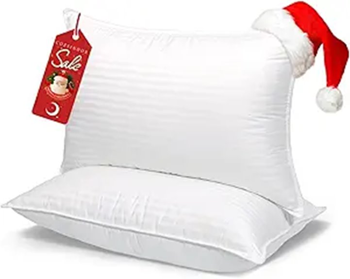 COZSINOOR Queen Size Bed Pillows Set of 2
