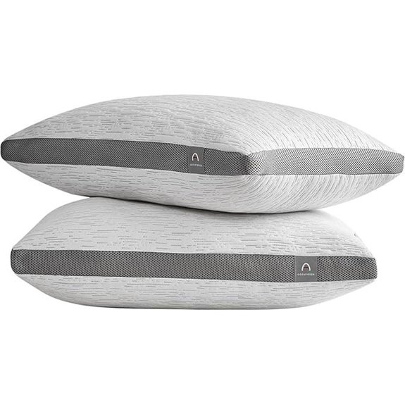 Accuratex Queen Pillows Set of 2 with Removable Cover