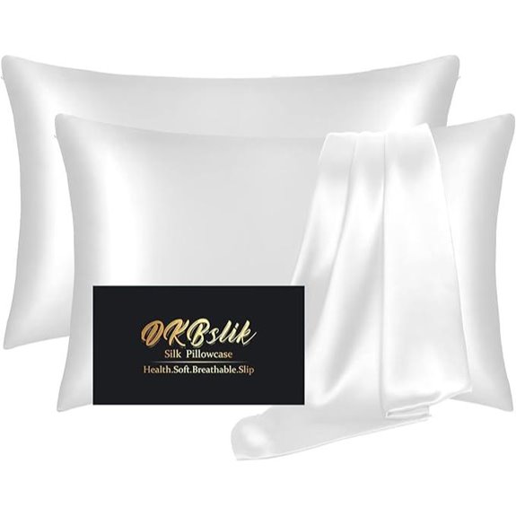 Mulberry Silk Pillow Cases 2 Pack with Zippers