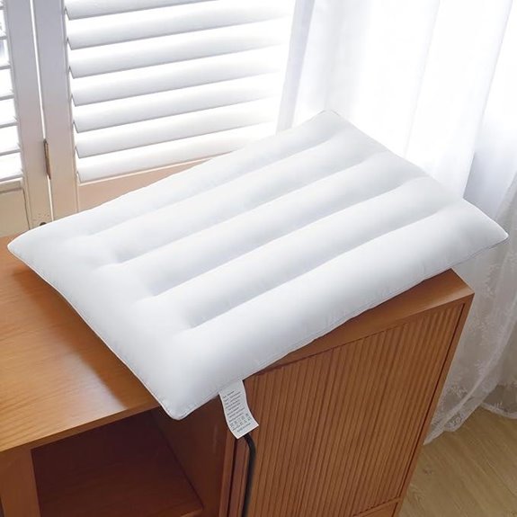 Ultra Slim 2.5-Inch Bed Pillow for Sleep