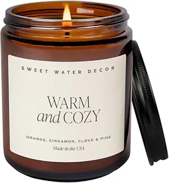 Sweet Water Decor Soy Candle with Spiced Scent
