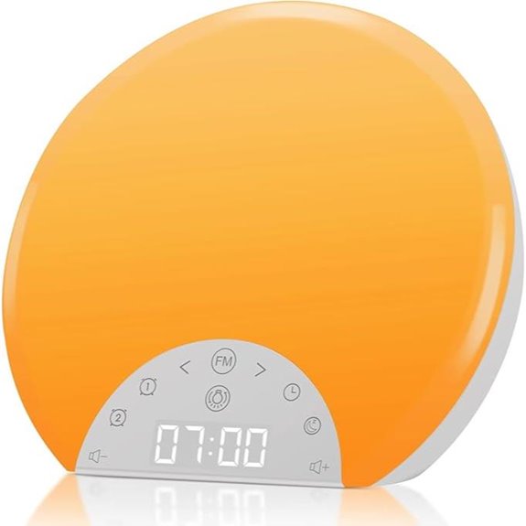 ANTDALIS Sunrise Alarm Clock with Night Light & FM Radio