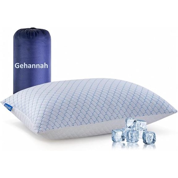 Gehannah Travel Pillow with Storage Bag
