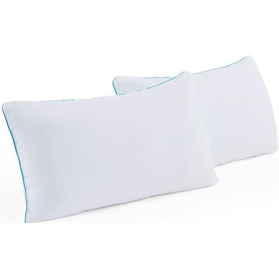 Linenspa 2-Pack Gel Memory Foam Pillows