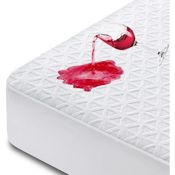 Premium Waterproof Queen Mattress Protector