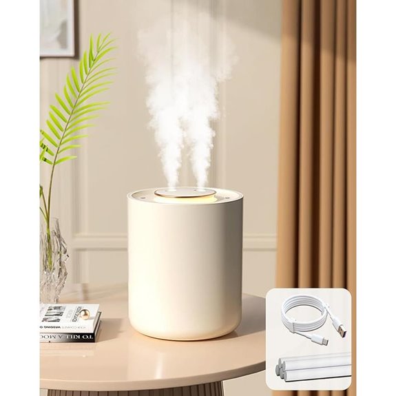 Portable Mini Humidifier with 3 Mist Modes