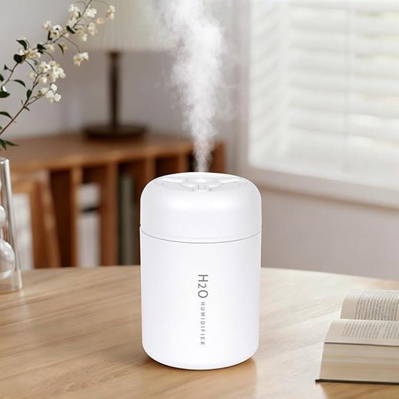 Mini USB Humidifier with Lights for Home & Travel