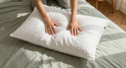 15 Best Down Alternative Bed Pillows for Comfortable Sleep in 2026